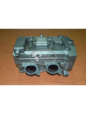 ΚΕΦΑΛΗ TDM 900 