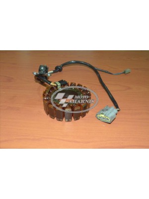 ΠΗΝΙΑ TDM 900 