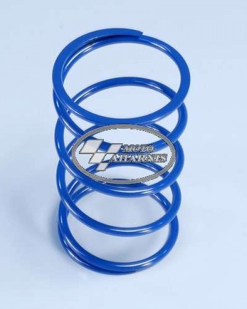 ΕΛΑΤΗΡΙΟ ΚΑΜΠΑΝΑΣ ΦΥΓΟΚΕΝΤΡΙΚΟΥ BEVERLY 400 500 POLINI