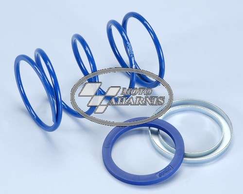 ΕΛΑΤΗΡΙΟ ΚΑΜΠΑΝΑΣ ΦΥΓΟΚΕΝΤΡΙΚΟΥ PIAGGIO POLINI ΕΛΑΤΗΡΙΟ ΚΑΜΠΑΝΑΣ ΦΥΓΟΚΕΝΤΡΙΚΟΥ PIAGGIO POLINI