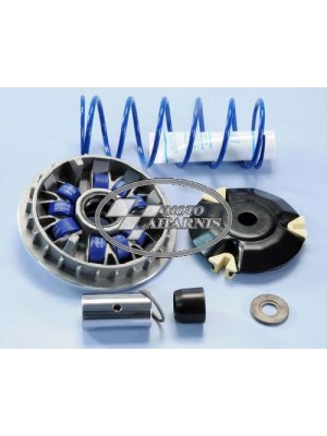 ΤΡΟΧΑΛΙΑ ΒΑΡΙΑΤΟΡ ΕΜΠΡΟΣ SH NES-125 150 9 ΜΠΙΛΙΕΣ POLINI ΤΡΟΧΑΛΙΑ ΒΑΡΙΑΤΟΡ ΕΜΠΡΟΣ SH NES-125 150 9 ΜΠΙΛΙΕΣ POLINI