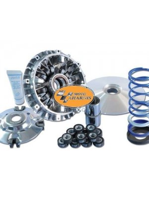 ΚΙΤ ΤΡΟΧΑΛΙΑ ΓΙΑ T-MAX 500 POLINI hi-speed ΜΕ 12 ΜΠΙΛΙΕΣ ΚΑΙ ΕΛΑΤΗΡΙΟ ΚΙΤ ΤΡΟΧΑΛΙΑ ΓΙΑ T-MAX 500 POLINI hi-speed ΜΕ 12 ΜΠΙΛΙΕΣ ΚΑΙ ΕΛΑΤΗΡΙΟ