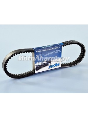 ΙΜΑΝΤΑΣ X MAX 250 POLINI