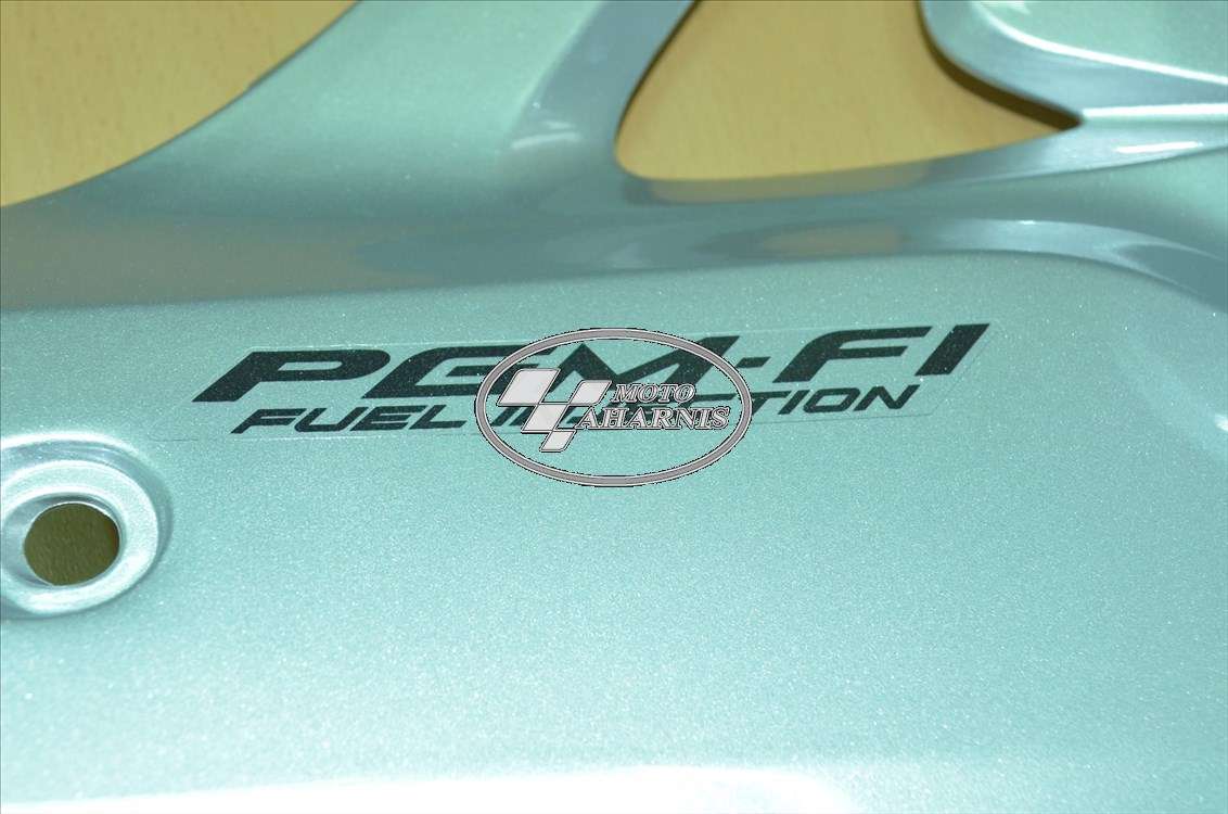 ΔΕΞΙΑ ΕΣΩΤΕΡΙΚΗ ΠΟΔΙΑ WAVE 110i ΑΣΗΜΙ